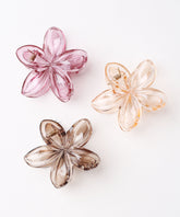 Multi Colored c Claw Clips